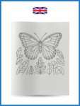 Butterflies-1