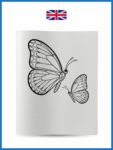 Butterflies-1